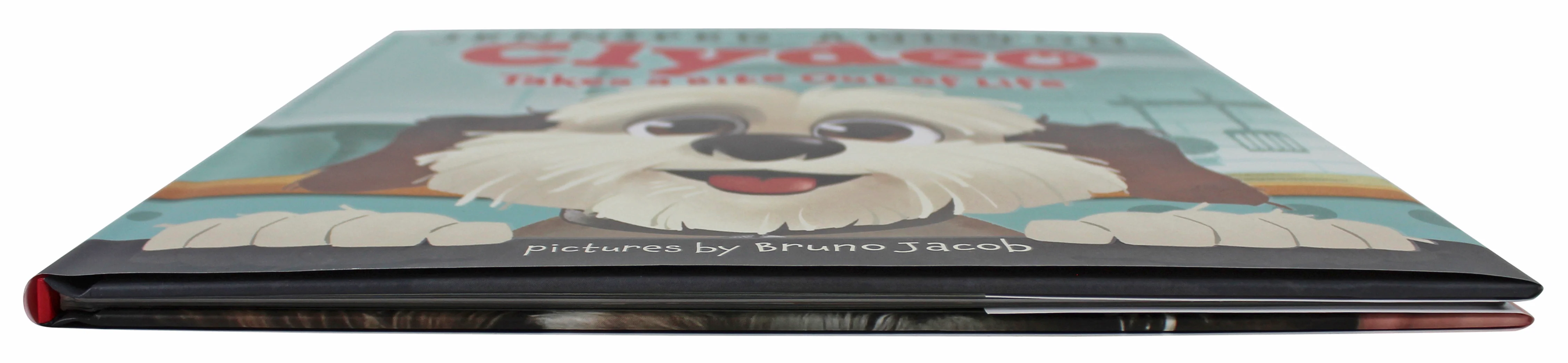 Product image 10